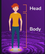 human body illustration