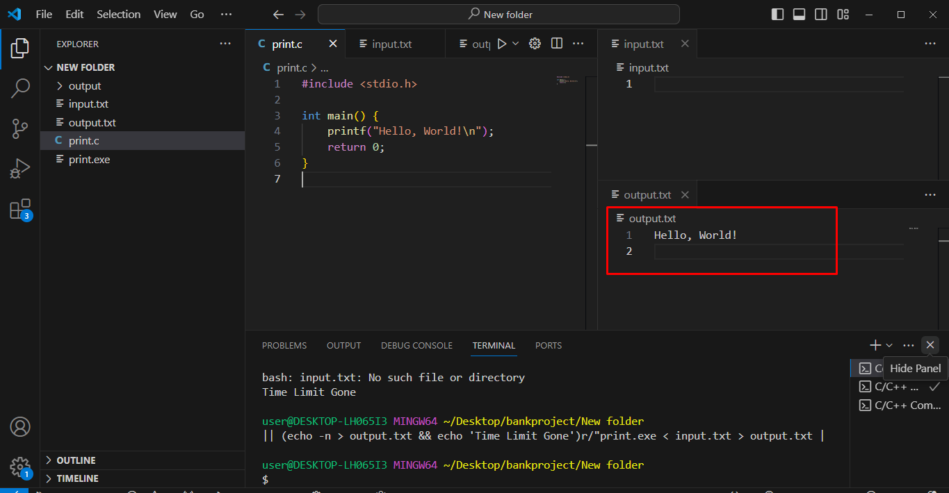 run with input output txt