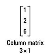 Column Matrix